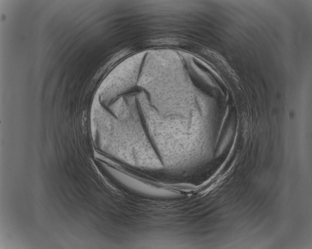 X0000085731225200704091436