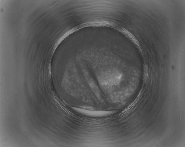 X0000085731226200704091436