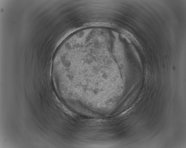 X0000085731228200704091436