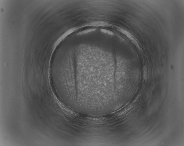 X0000085731229200704091436