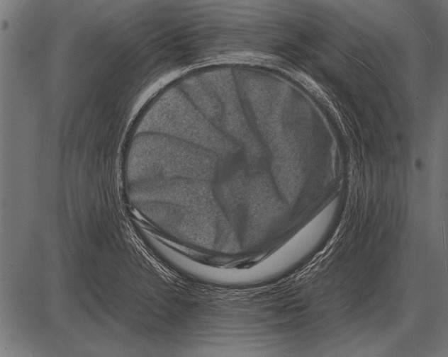 X0000085731230200704091436