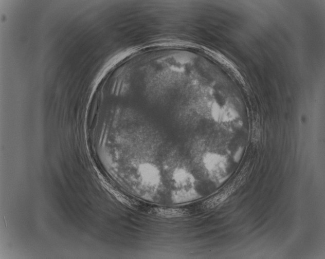 X0000085731231200704091436