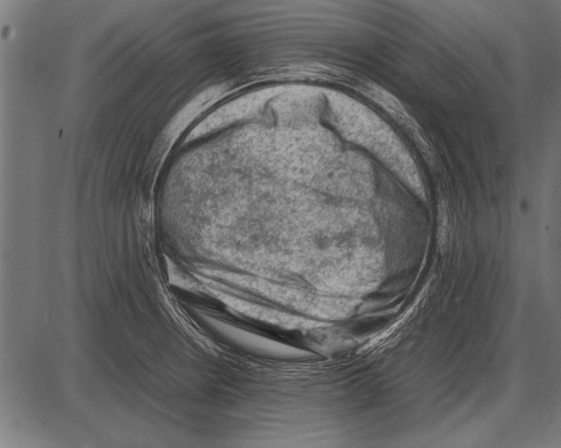 X0000085731234200704091436