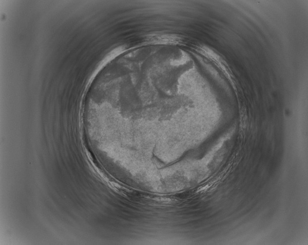 X0000085731235200704091436