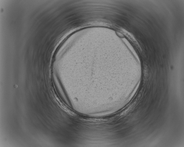 X0000085731236200704091436