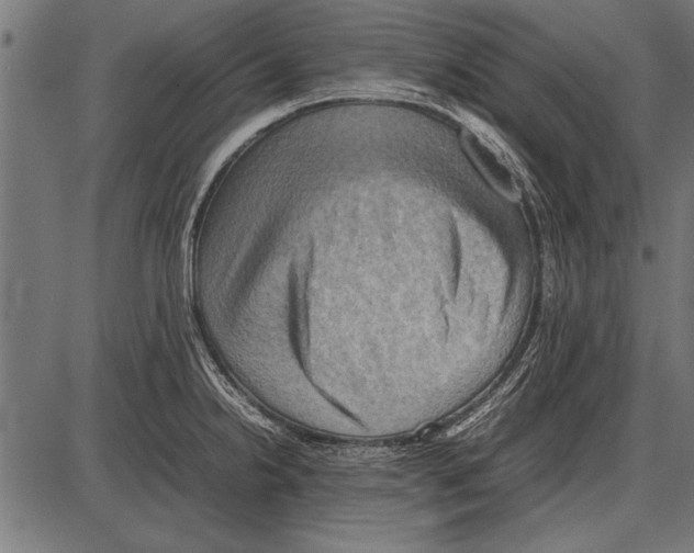 X0000085731238200704091436