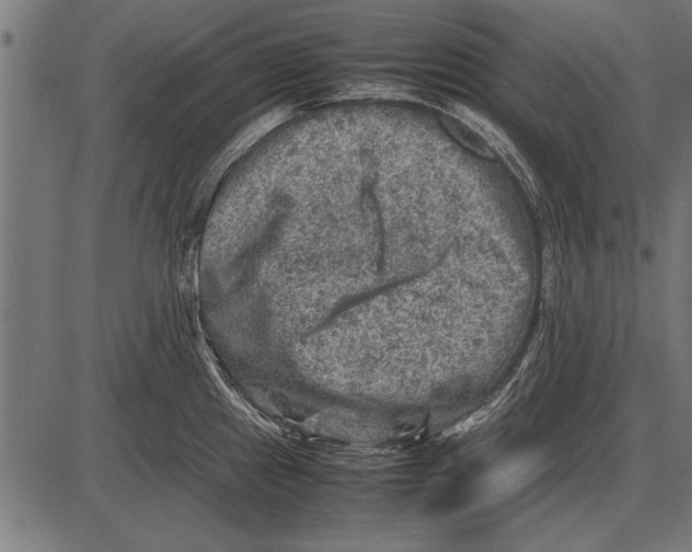 X0000085731241200704091436