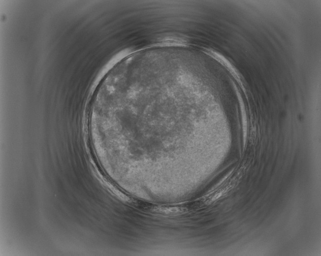 X0000085731243200704091436