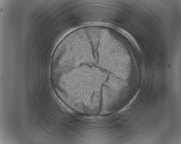 X0000085731244200704091436