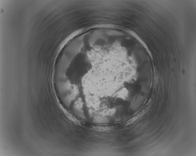 X0000085731245200704091436