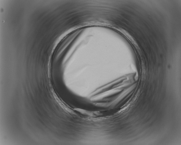 X0000085731246200704091436