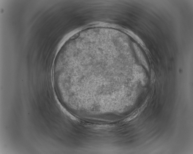 X0000085731247200704091436