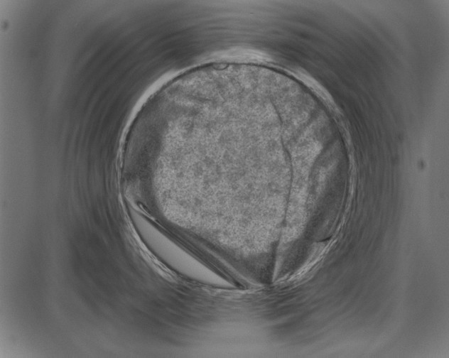 X0000085731248200704091436