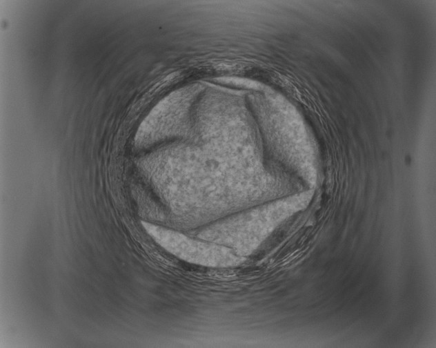 X0000085731249200704091435