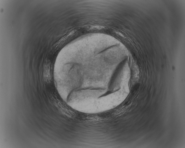 X0000085731250200704091435