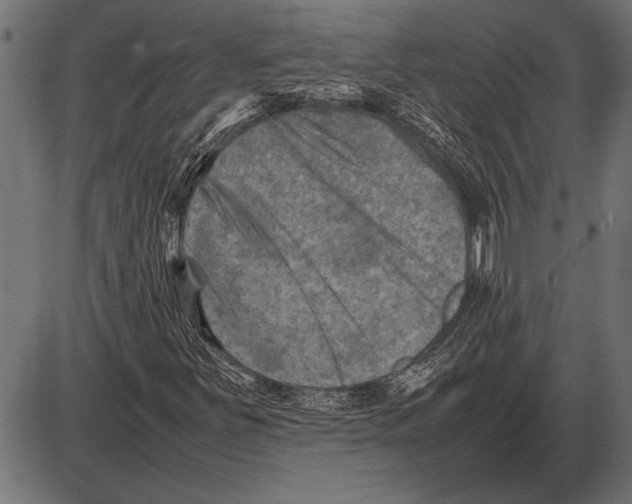 X0000085731251200704091435