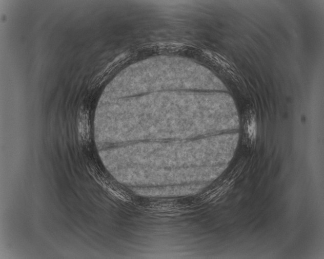 X0000085731252200704091435