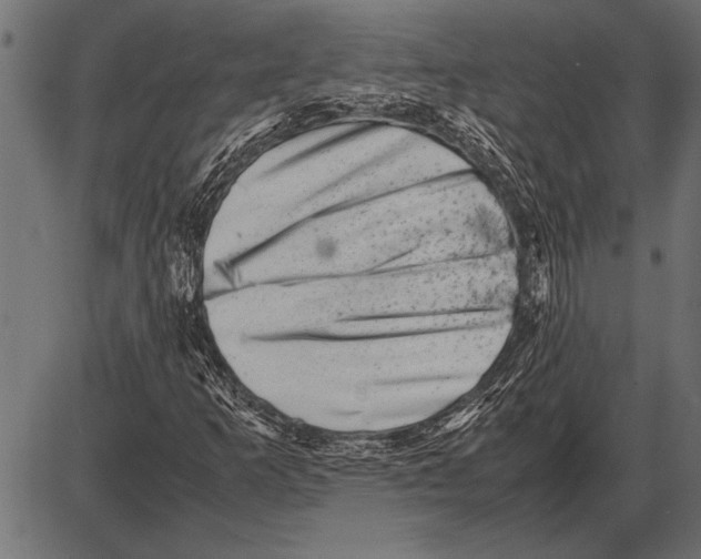 X0000085731253200704091435