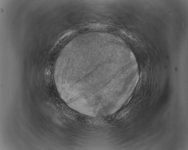 X0000085731254200704091435