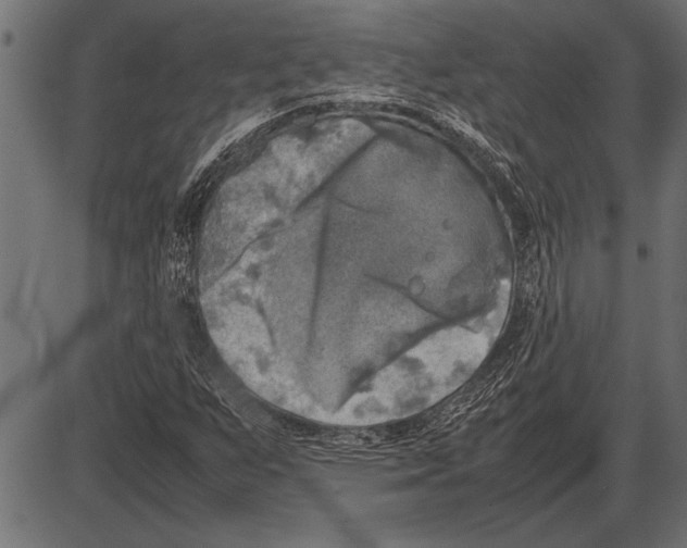 X0000085731255200704091435