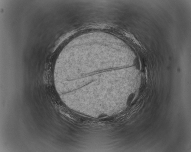 X0000085731256200704091435