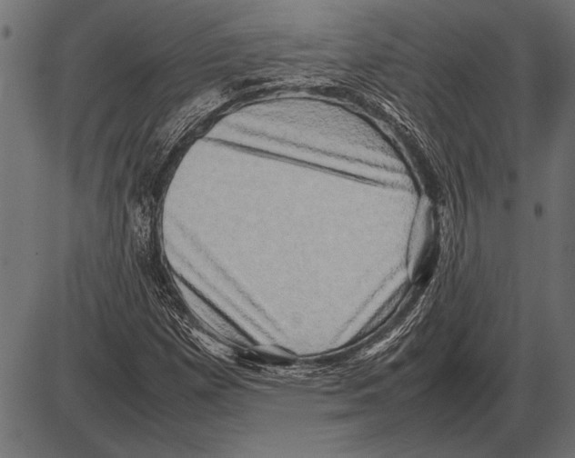 X0000085731257200704091435