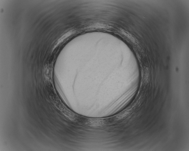 X0000085731258200704091435