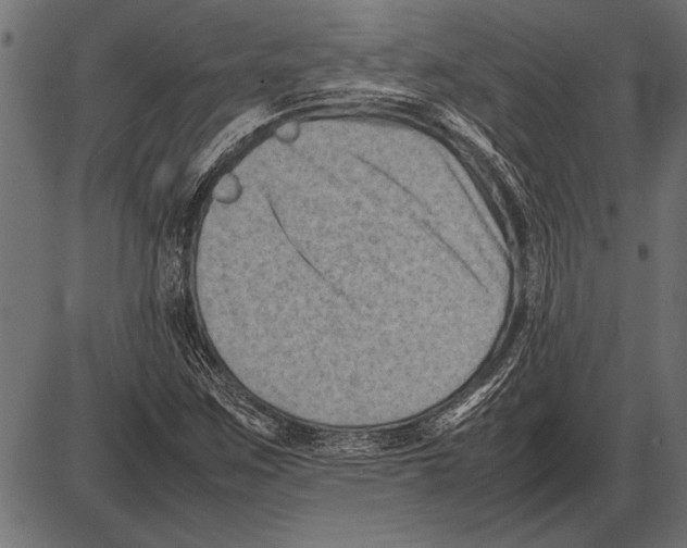 X0000085731259200704091435