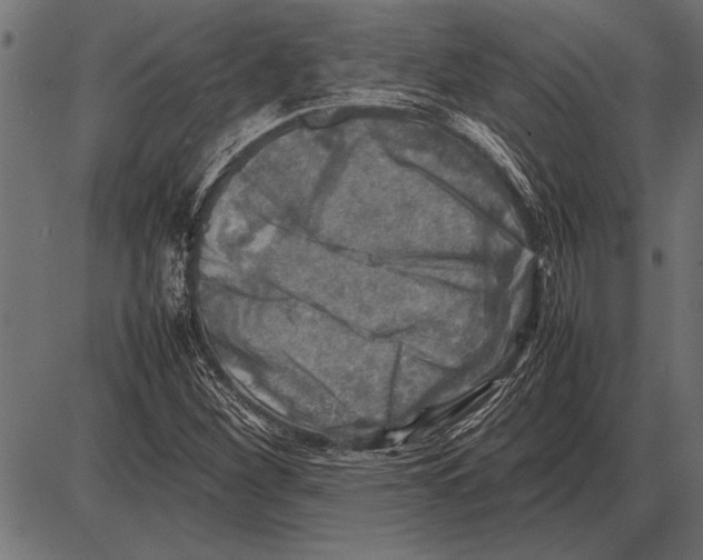 X0000085731260200704091435