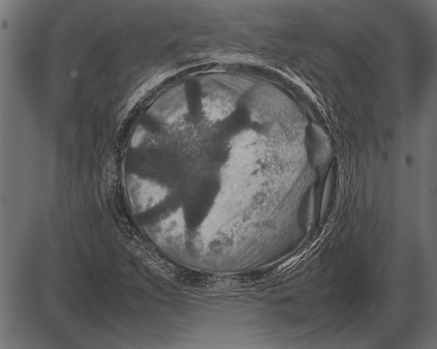 X0000085731263200704091435