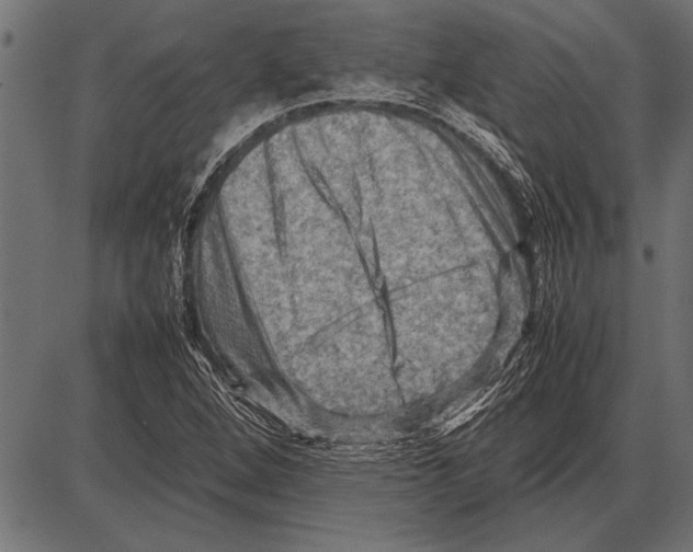 X0000085731264200704091435