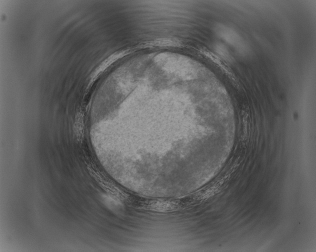 X0000085731266200704091435