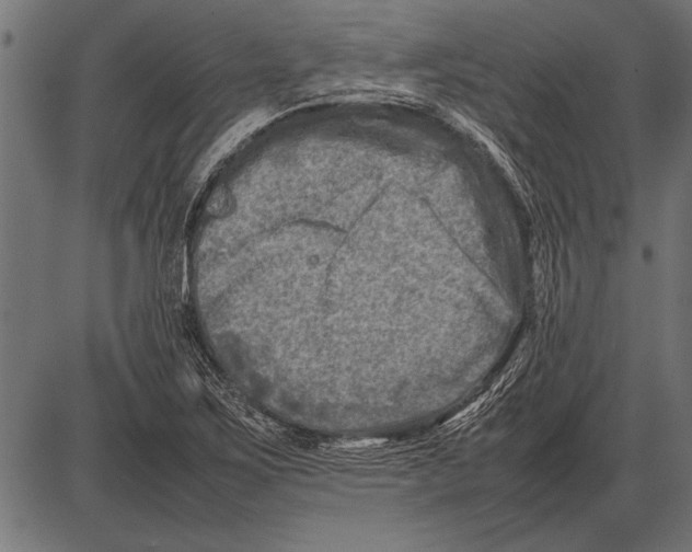 X0000085731267200704091435