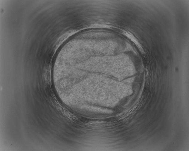 X0000085731268200704091435