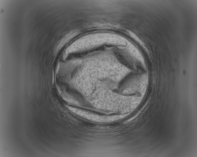 X0000085731269200704091435