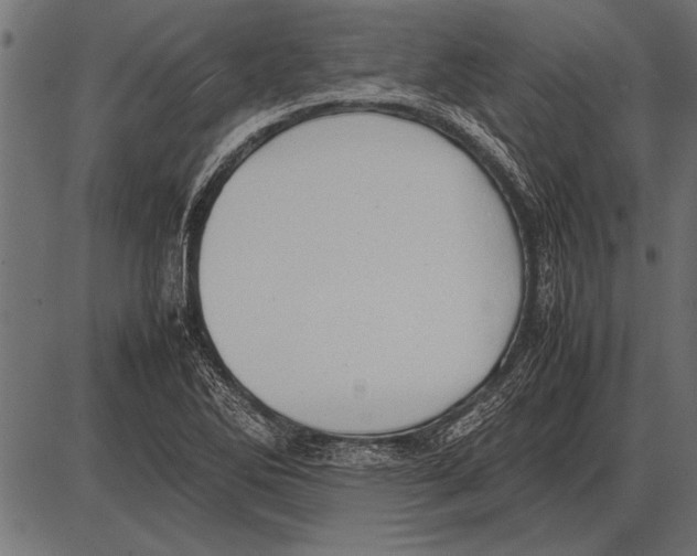 X0000085731270200704091435