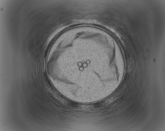 X0000085731271200704091435