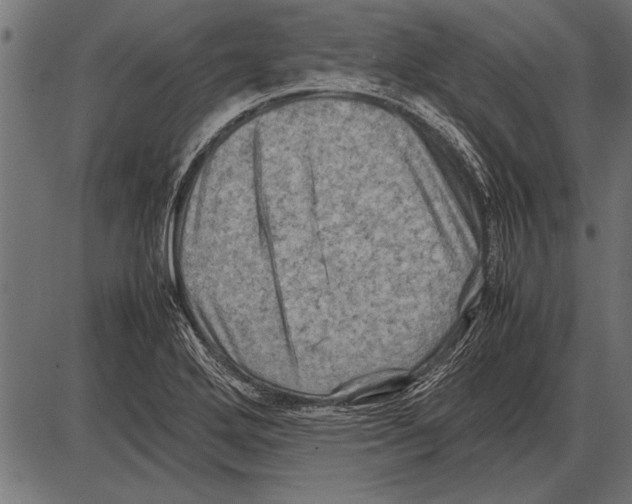 X0000085731272200704091435