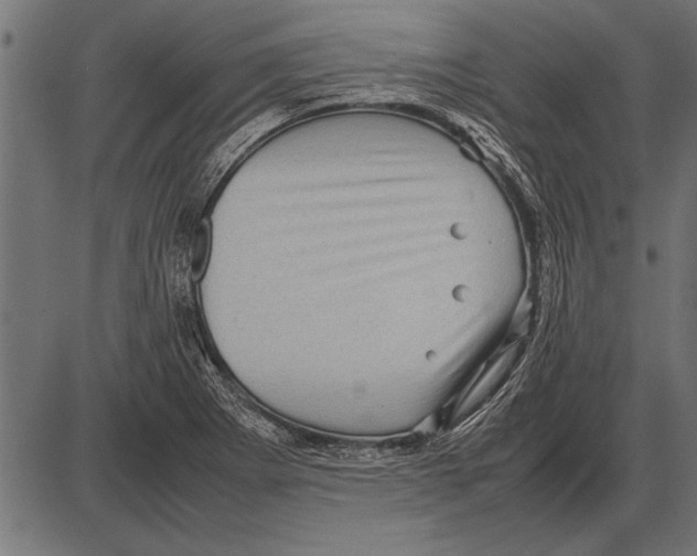 X0000085731273200704091435