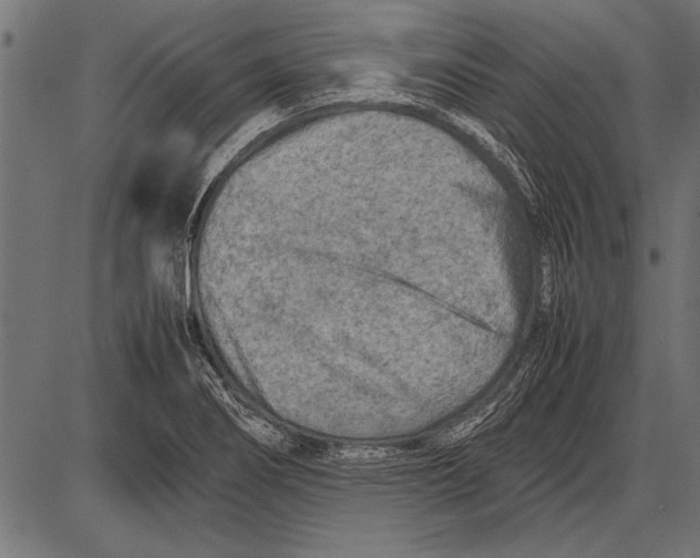 X0000085731274200704091435