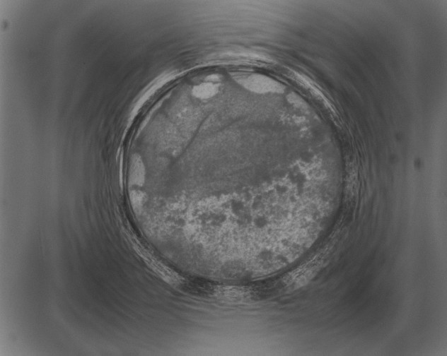 X0000085731275200704091435