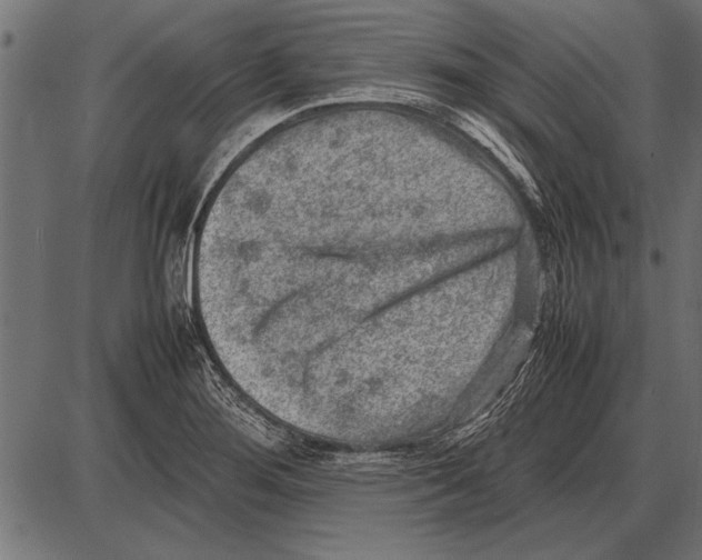 X0000085731276200704091435