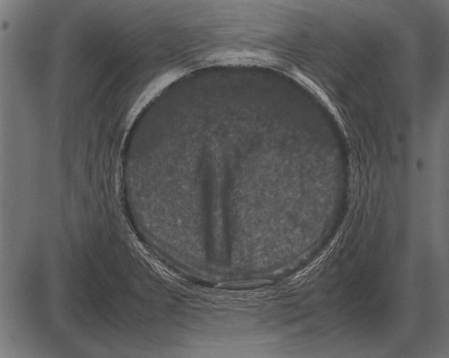 X0000085731277200704091435