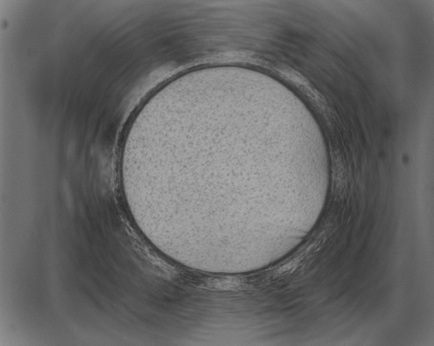 X0000085731278200704091435