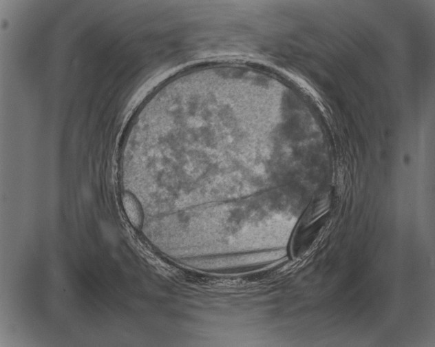 X0000085731279200704091435