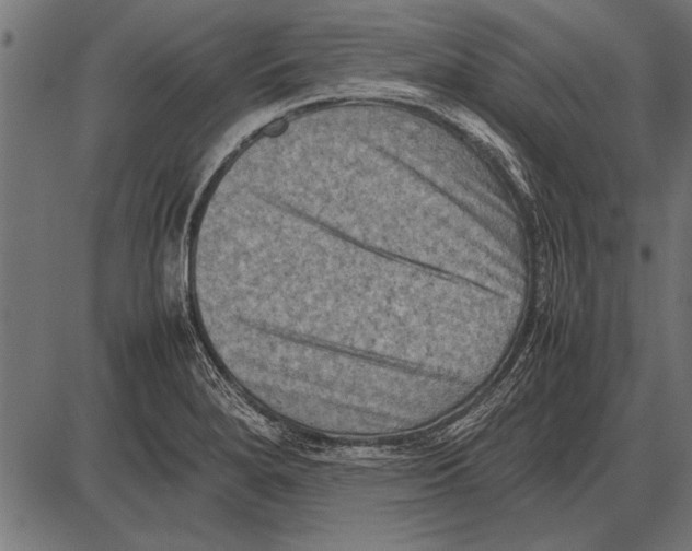 X0000085731280200704091435