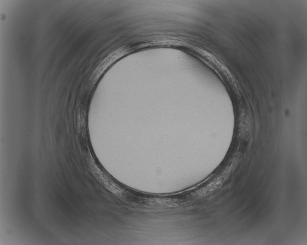 X0000085731281200704091435