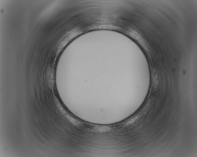 X0000085731282200704091435