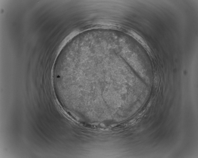 X0000085731283200704091435