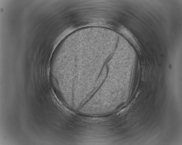 X0000085731284200704091435